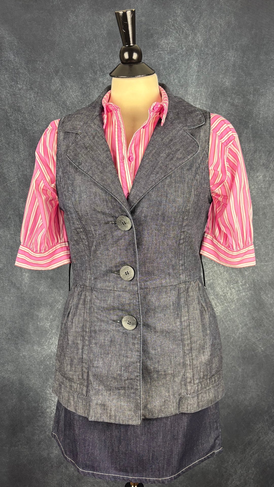 Veste sans manches en denim col tailleur Iris Setlakwe, taille 8. Vue de l'agencement avec la jupe en denim Versace et le chemisier à rayures Circle of Trust.