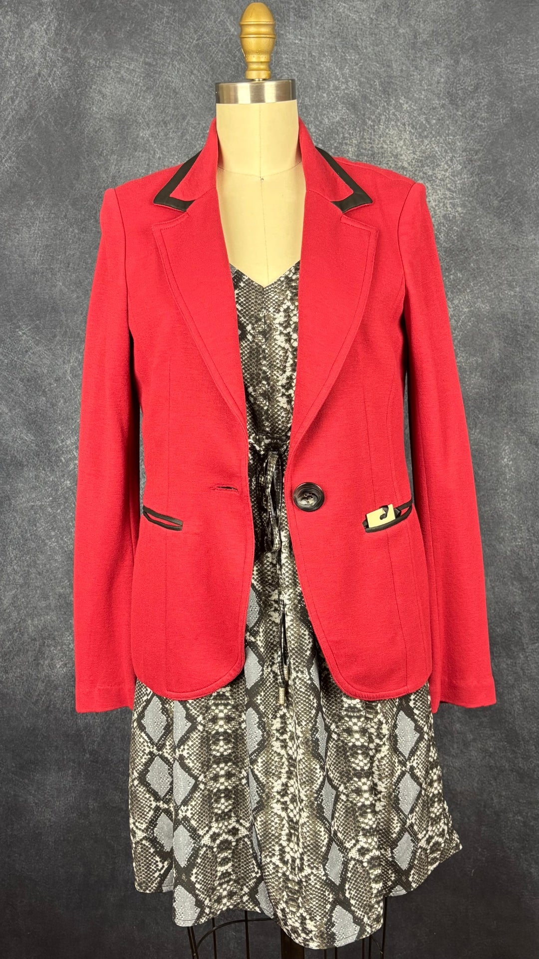 Blazer confortable rouge liséré en cuir noir Iris Setlakwe, taille 4. Vue de l'agencement avec la robe à motifs serpent de Joelle.