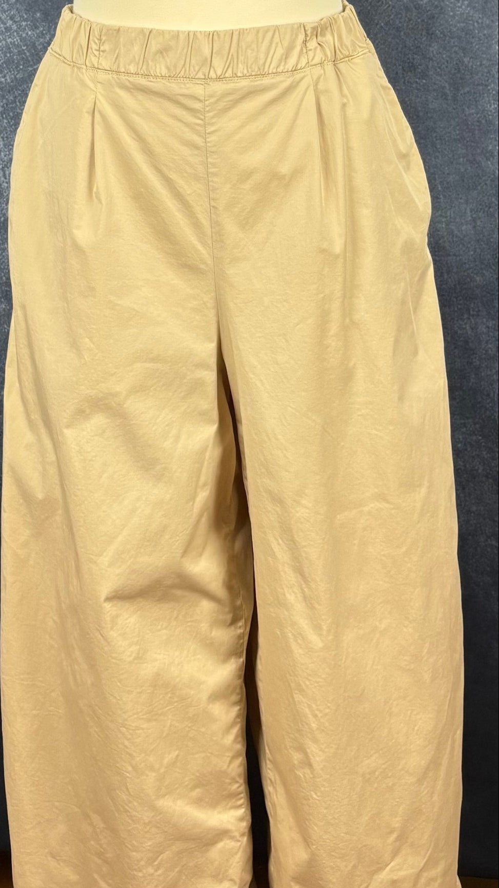 Pantalon confortable beige en coton extensible à taille élastique Oui, taille 16. Vue de face, sur le mannequin.