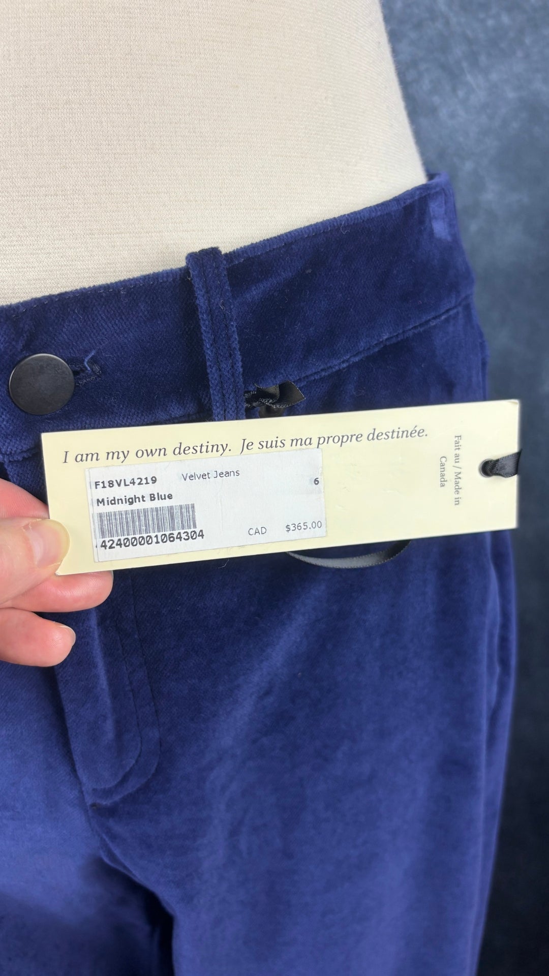 Pantalon en velours extensible bleu nuit Iris Setlakwe, taille 6. Vue de l'étiquette.