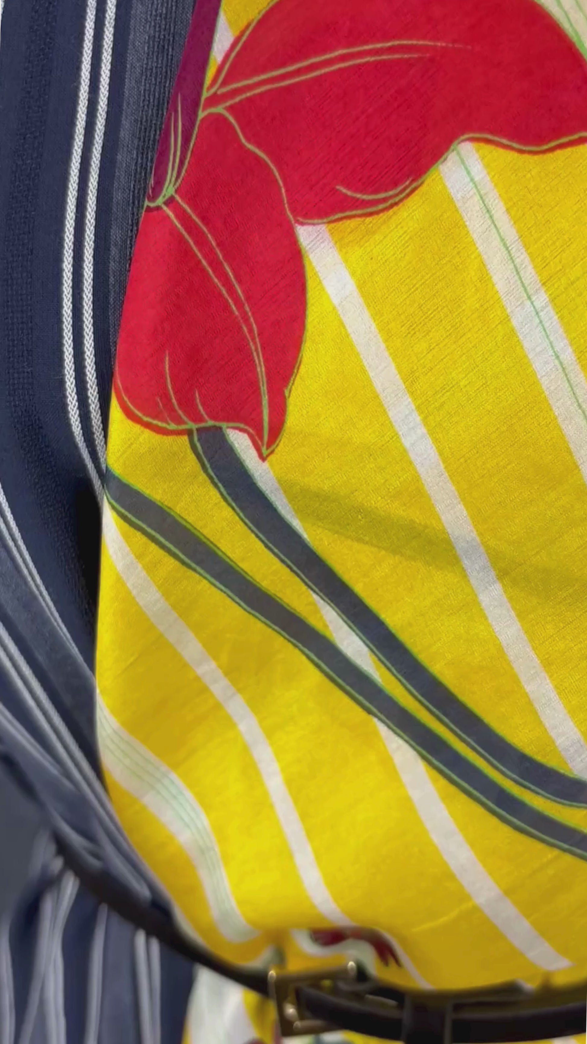 Robe en tissage à rayures à manches évasées plissées Banana Republic, taille 14. Vue de la vidéo qui présente tous les détails de la robe.